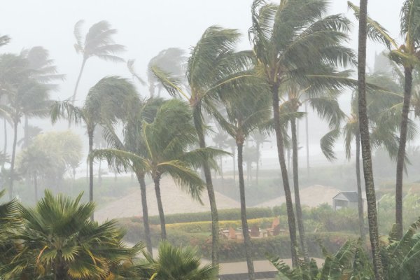 Hawaii Hurricane & Storm Alerts Tile Image