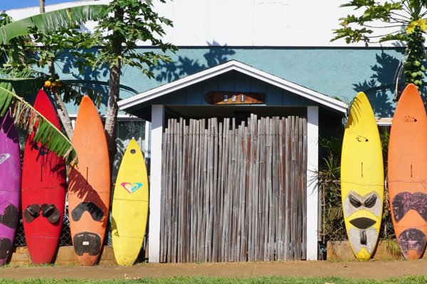 Visiting Hawaii in March Tile Image