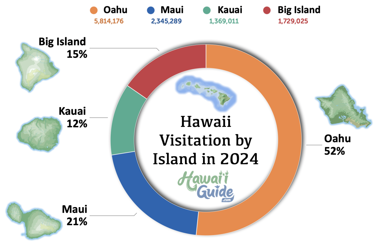 Hawaii Visitation by Island (2024)