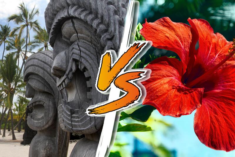 Hawaii Islands Compared