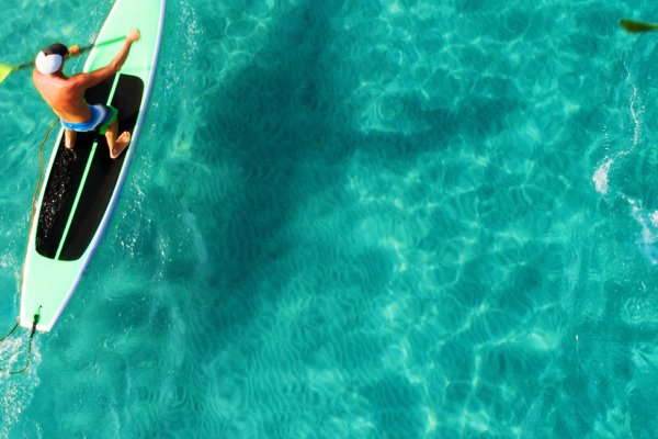 Hawaiian Paddle Sports Tile Image