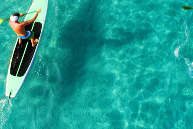 Hawaiian Paddle Sports