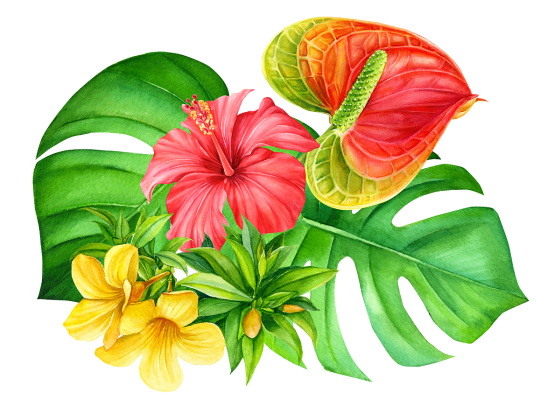 Hawaii Attractions - Tropical Arrangement
