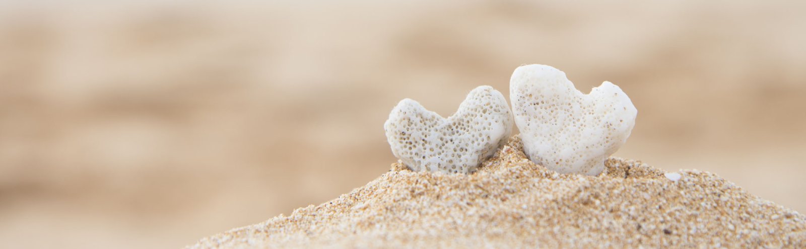 Hawaii is the perfect place for a destination wedding.