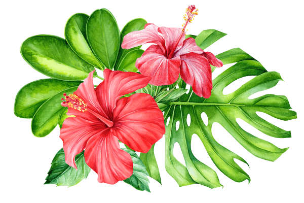 Hawaii Travel Tips - Tropical Arrangement