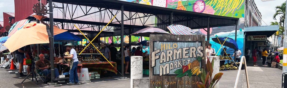 Hilo, Big Island: Farmers Market, Things to Do & Tips (2026)