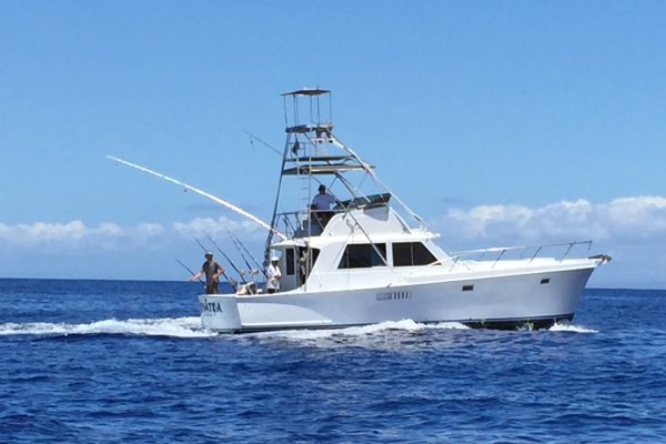 Maui Sport Fishing Charters Tile Image
