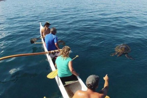 Canoe Surfing Tours Tile Image