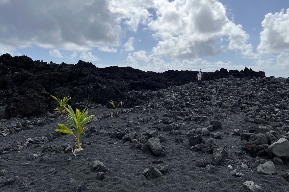 Hawaii Photo Gallery Slide Gallery Image