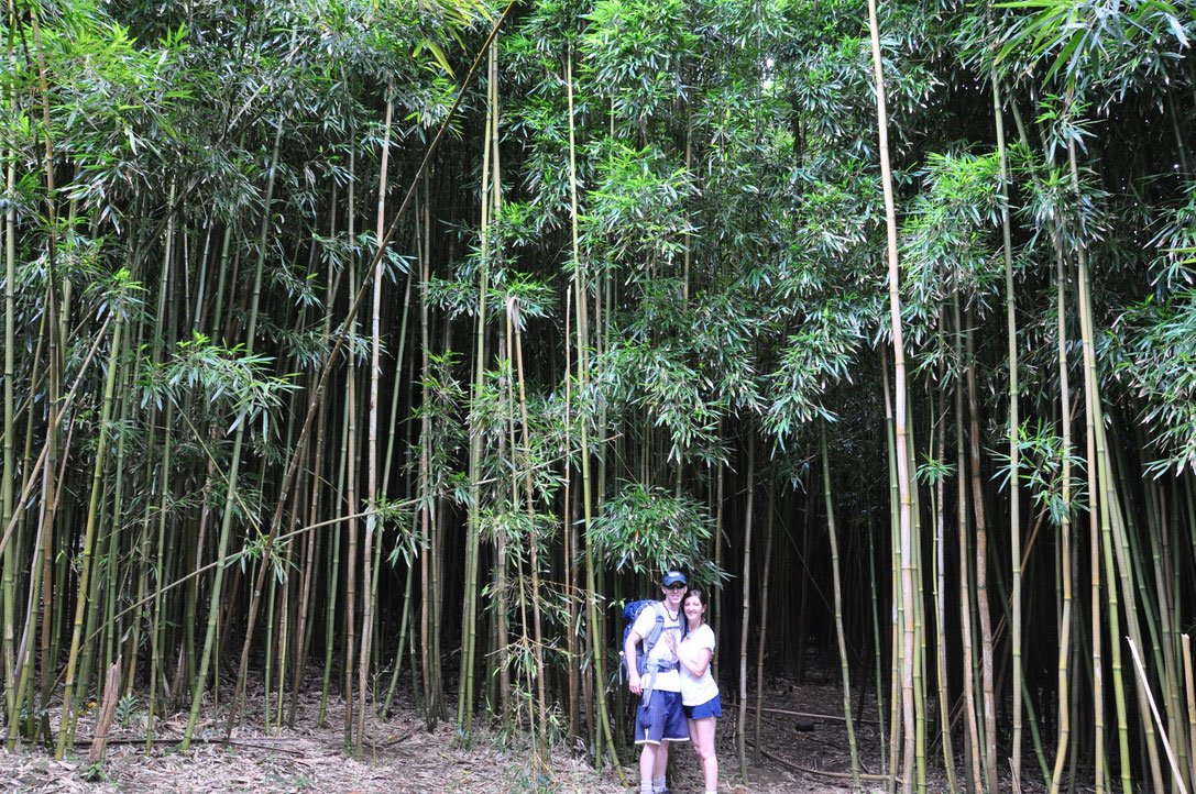Hiking the Pipiwai Trail in Kipahulu at the Oheo Gulch