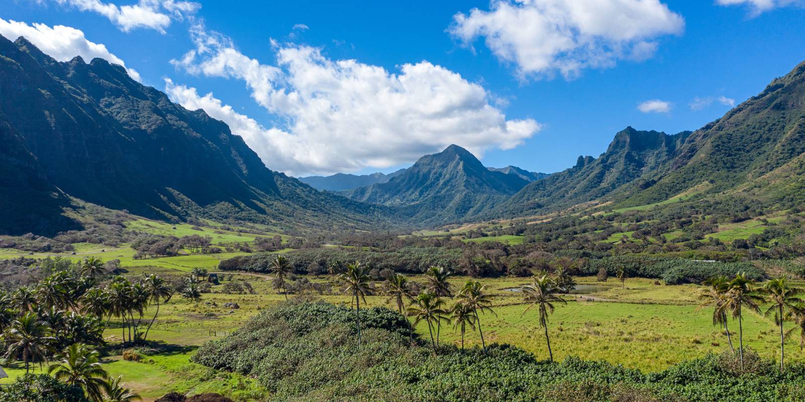 Oahu Horseback Riding Tours: Kualoa, Turtle Bay & Gunstock