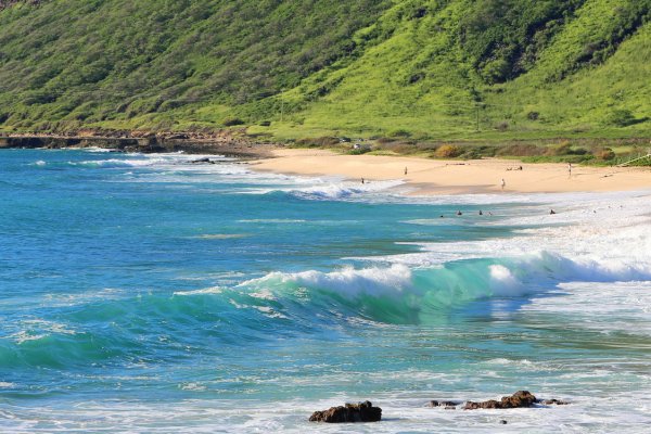 Kaena Point State Park Tile Image