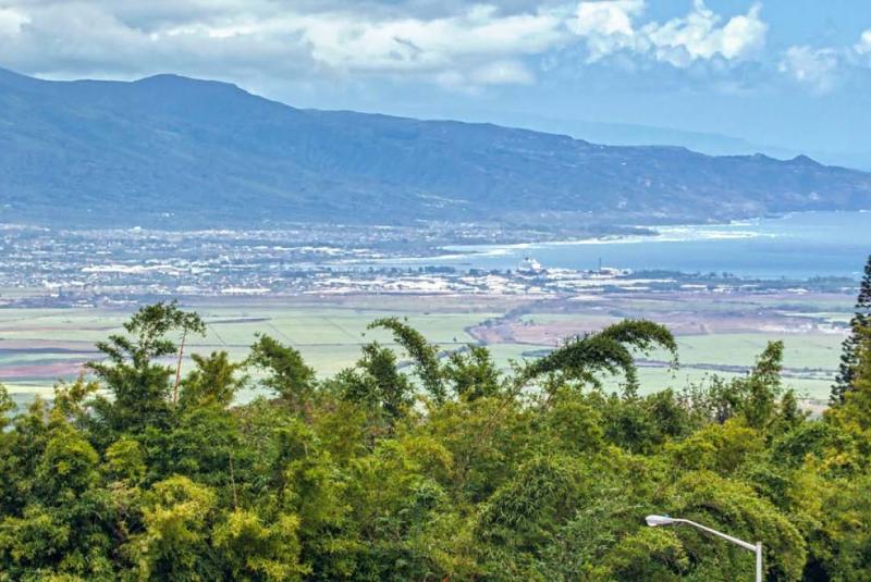 Kahului Top 10 Restaurants