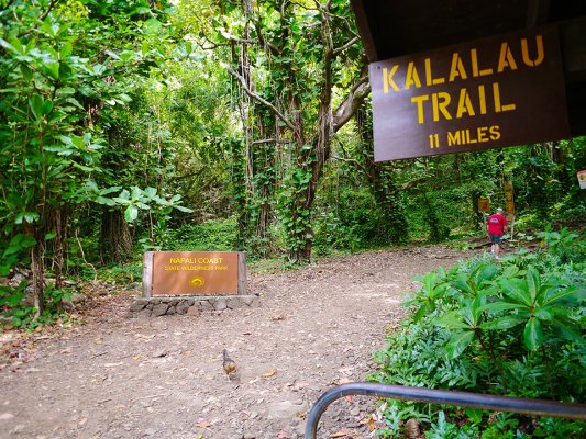 Kalalau Trailhead Sign