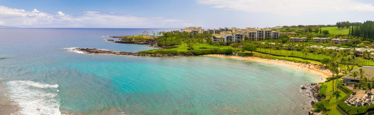 Maui Events in January 2026 Tile Image