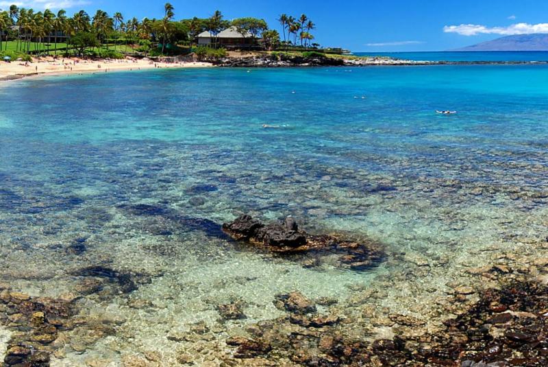 Hawaii Gaga Condo Resorts