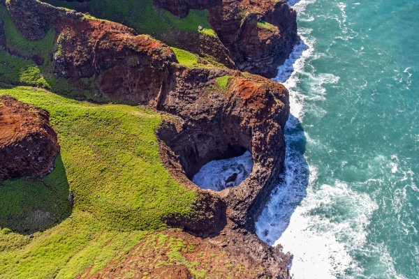 Safari Helicopters Tile Image