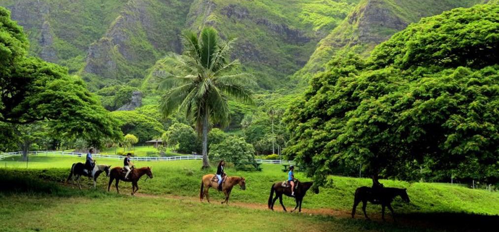 Horseback riding on Kauai is always kid-approved!