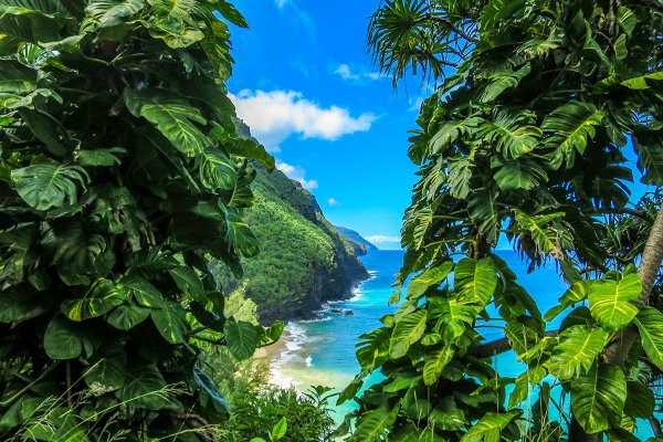 Kauai Essential Things to Know Tile Image