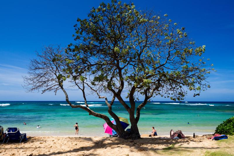 Kiahuna Beach