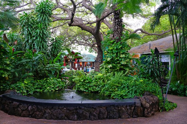 kihei kalama village on maui lushness 