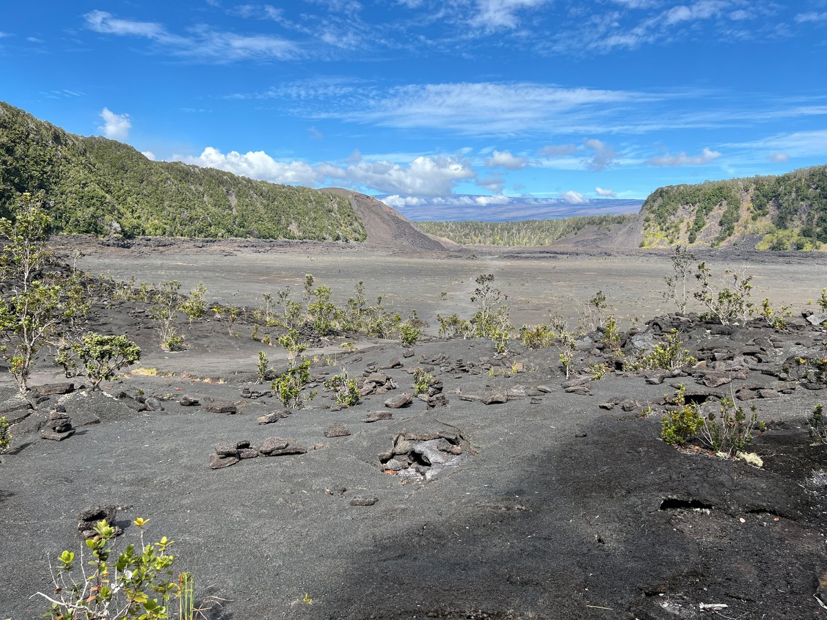 The Kilauea Iki Trail (not far from the caldera)