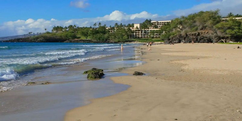 Kohala Beaches