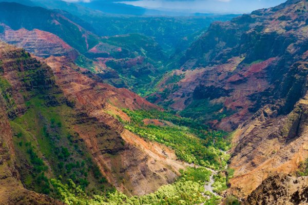 Kokee & Waimea State Park Hiking Trails Tile Image