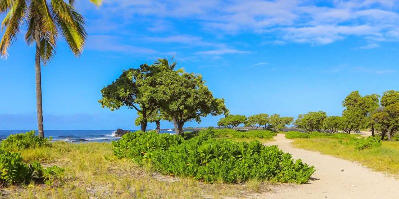 Kailua-Kona Hiking Trails