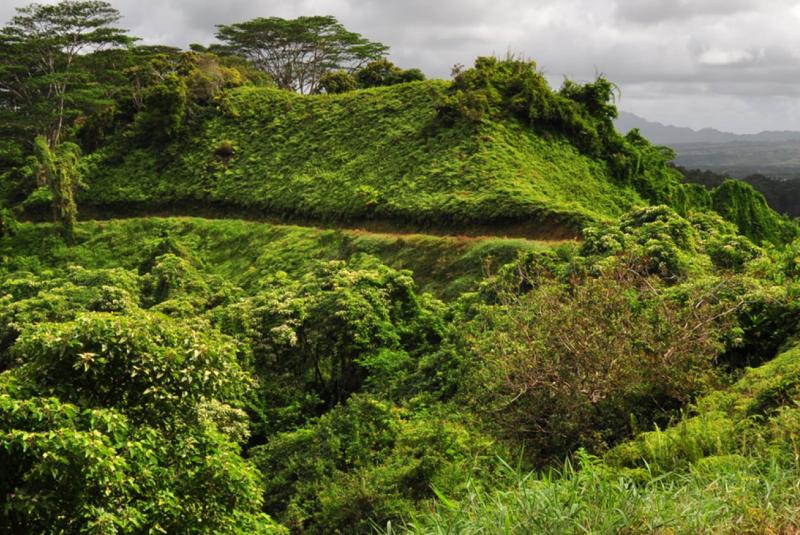 Kuilau Ridge Trail