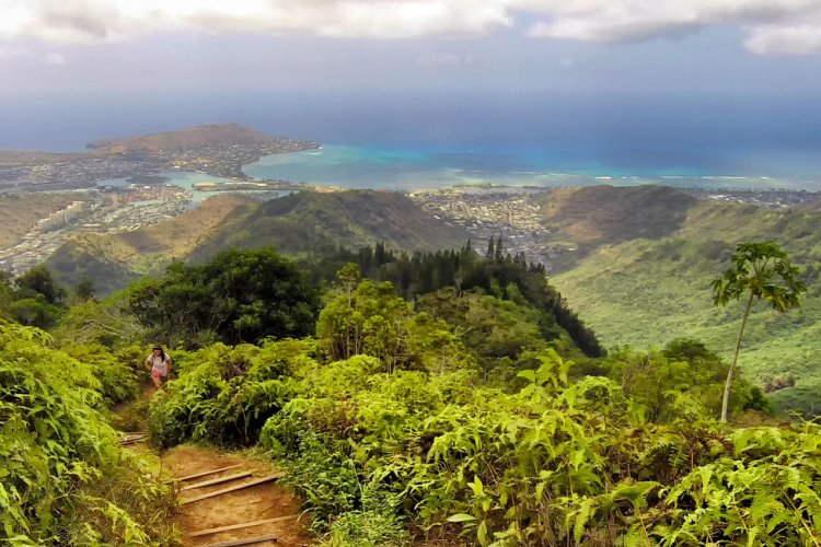 Kuliouou Ridge Trail Image