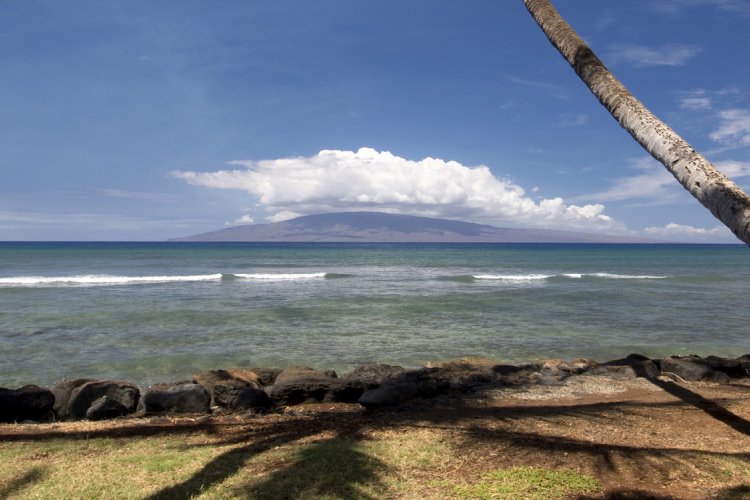 Launiupoko State Park Image