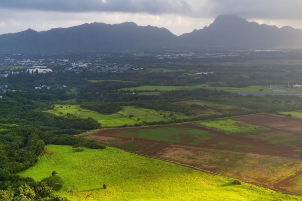 Lihue Town Tile Image