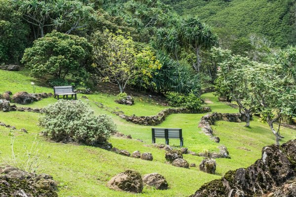 Limahuli Garden & Preserve Tile Image
