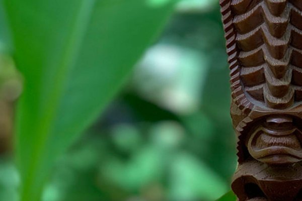 Hale o Lono Heiau Tile Image