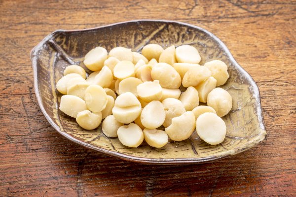 Macadamia Nut Farms Tours