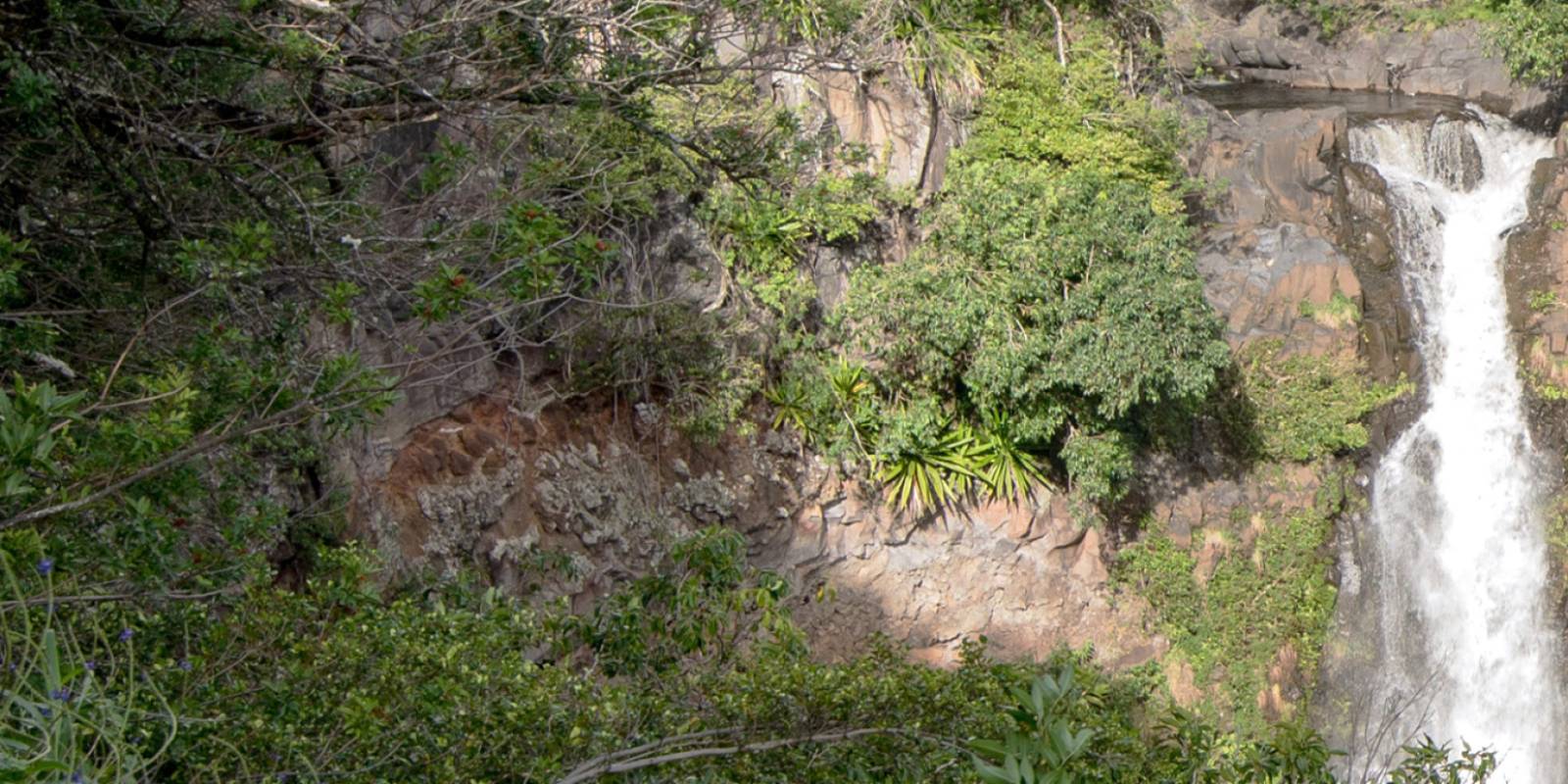Makahiku Falls Information, Photos & More | Maui Hawaii