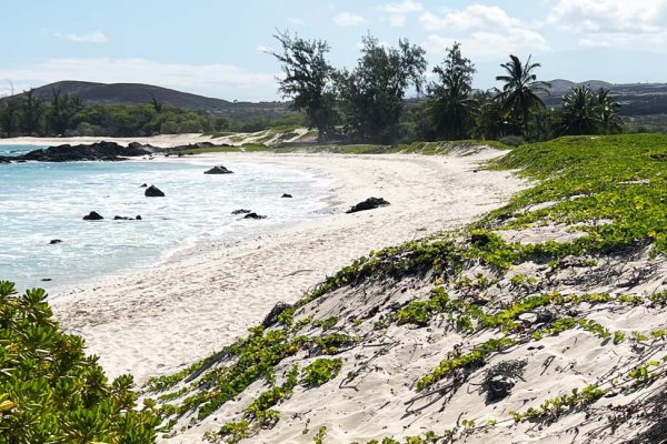 Makalawena Beach Tile Image