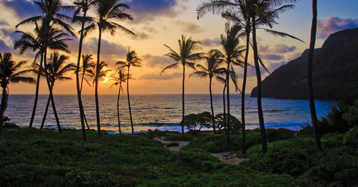 Makapu'u Beach Park is a must see.