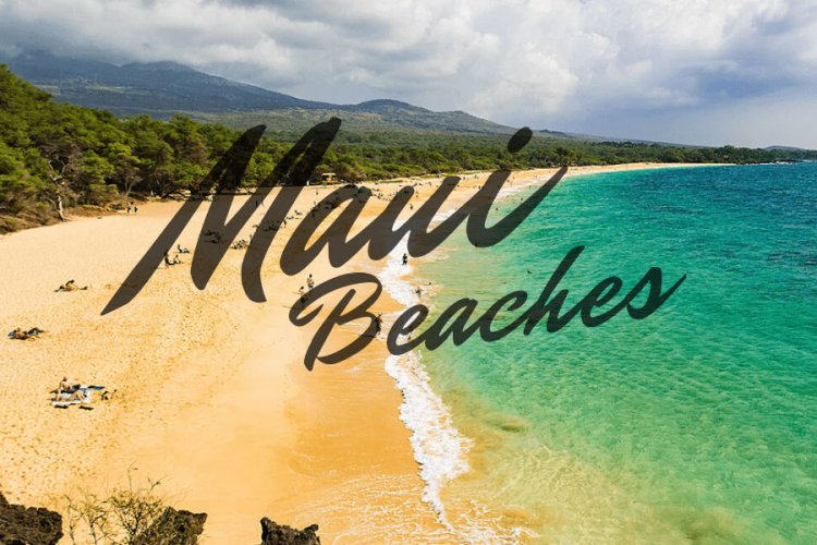 Maui Beaches Image