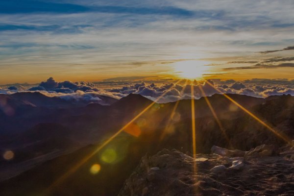 Maui Concierge Tile Image