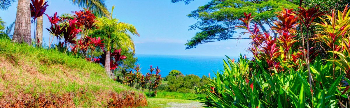 Maui Events in December 2025