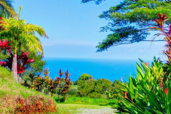 Maui Events in December Tile Image