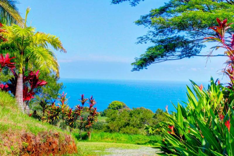 Maui Events in December