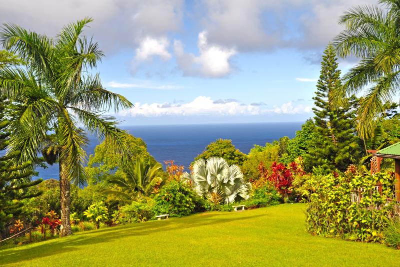 Maui Gardens Guide