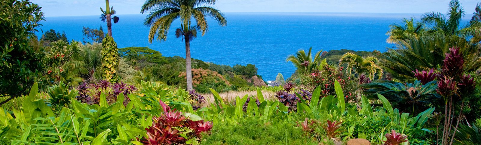 Garden of Eden - Maui