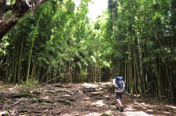 Maui Hiking Trails