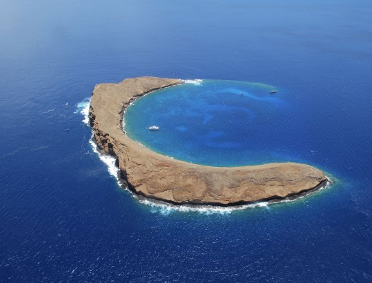 Molokini Snorkel Tour & Turtle Town Visit Image
