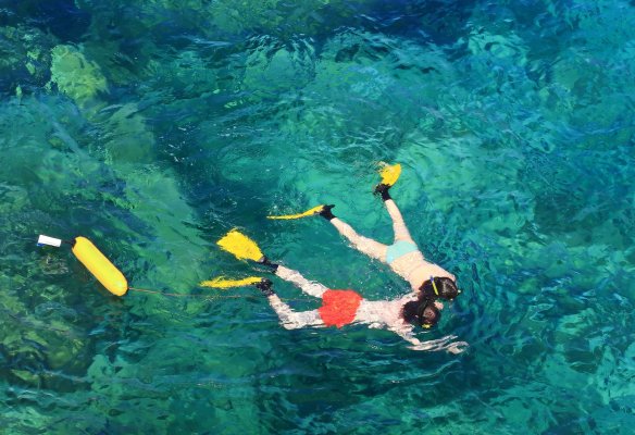 Lanai Coast Maui Sail and Snorkel Trip Image