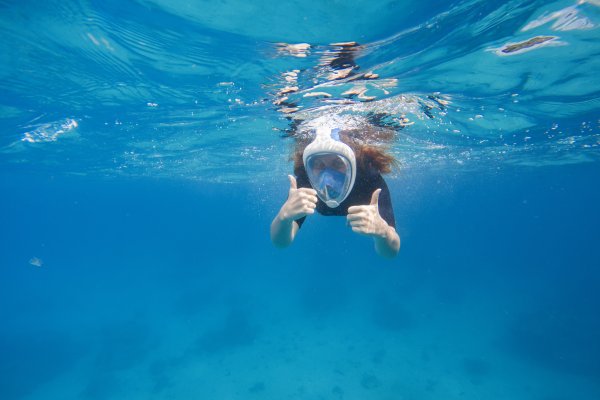 Honolua Marine Preserve Tour Tile Image